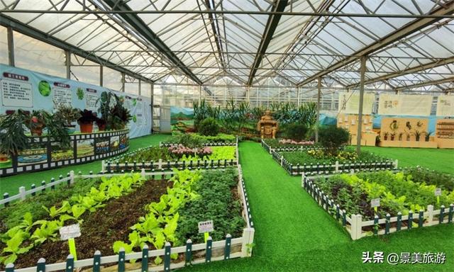 三星增辉南山月，三马拉动秋冬游，三水南山上演不落幕的文旅盛宴