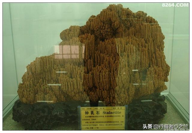 山东行游影记（31）—平邑天宇自然博物馆（六）