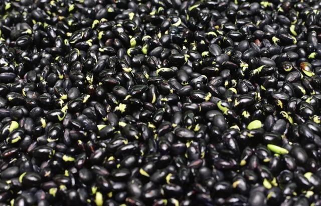 西洋参花胶鸡汤的做法 西洋参花胶鸡汤的做法窍门