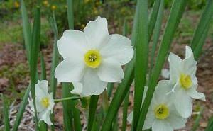 男人触摸女人这里，比亲吻、拥抱都上头，你知道吗？