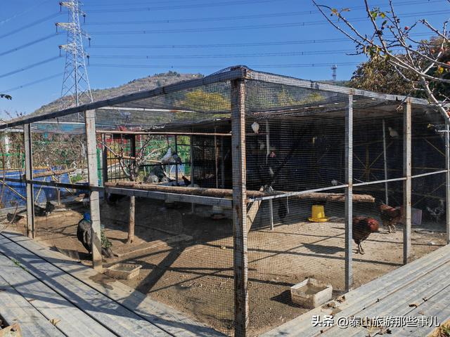 泰安：城西南有一个微缩的生态乐园，风光曼妙，带家人自驾好去处