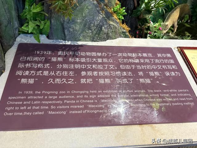 常被路过的雅安，值得专门去玩一趟