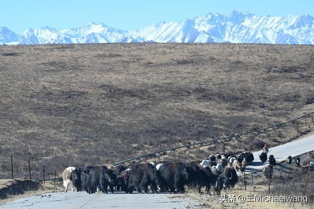 古意秋风三万里（D20）-从临泽县到祁连县