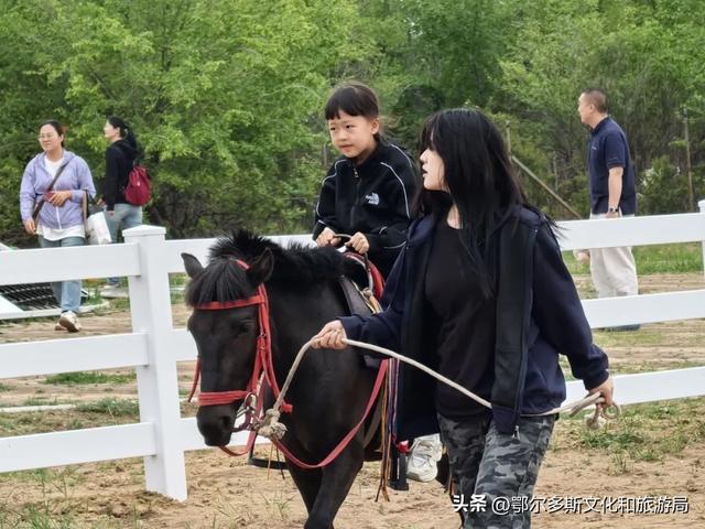 @你，鄂尔多斯植物园全攻略！暑期宝藏路线图！
