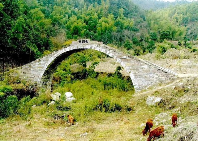 宁波古洞桥：寺桥比邻，百年重逢