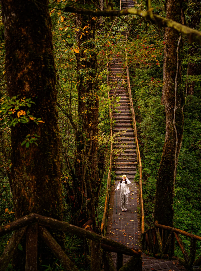 神图有了！在龙苍沟，出片还不是手拿把掐