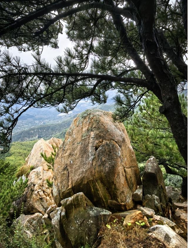 驴行信记：再攀“磨山顶”