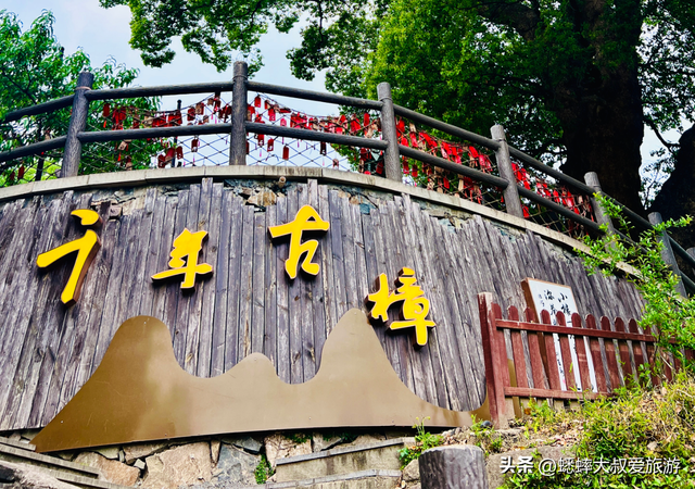 距离杭州1小时车程，有个泉水秘境，秋日风光中，可享田园野趣！