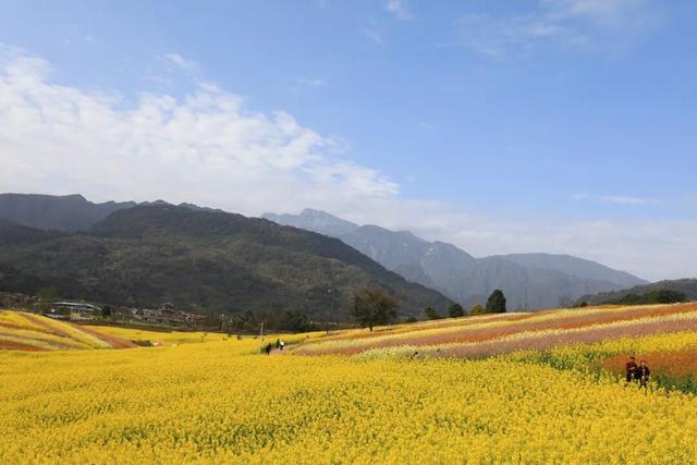 收藏！峨眉山「春日玩耍秘籍」，明天就出发