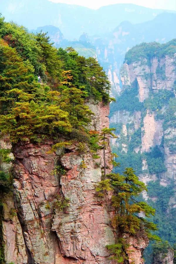 这是一张来自张家界的名片！