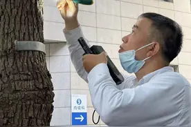 特稿 | 白蚁之战图片