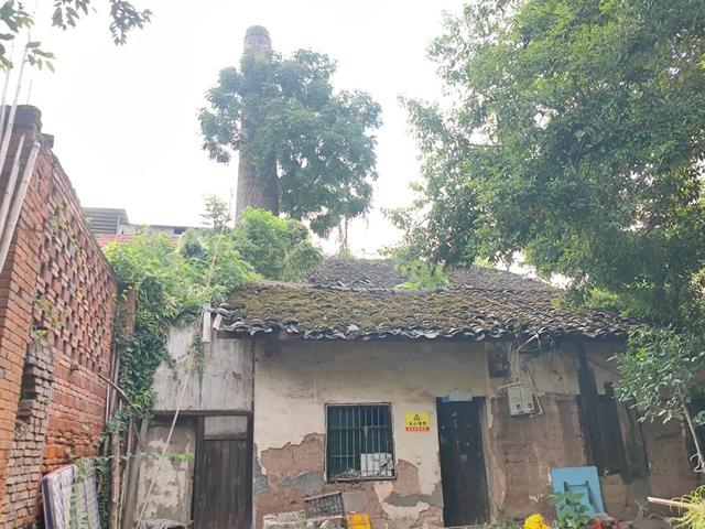 重庆巴南拥有多个历史文化古迹的街道，100米之内有三座古桥重庆巴南拥有多个历史文化古迹的街道，100米之内有三座古桥