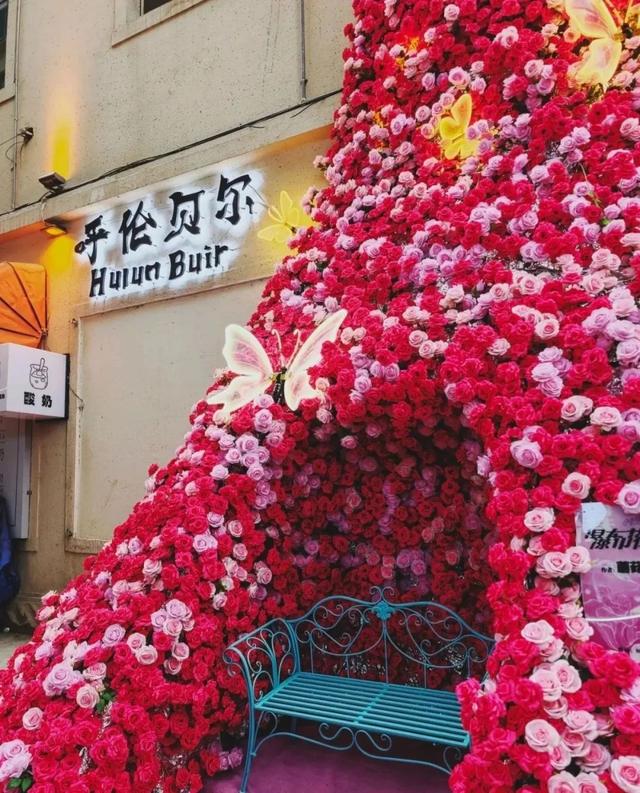【跟着音乐节 打卡海拉尔】快收藏这些宝藏出片机位！