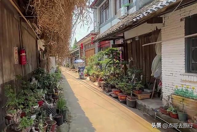 成都新津最容易错过的古场，被严重低估，美味诱人，公共交通直达
