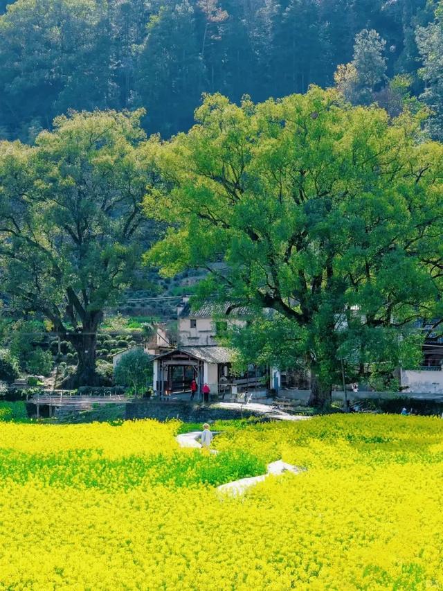 国庆长假去哪儿？江浙沪这条神仙自驾线火了！