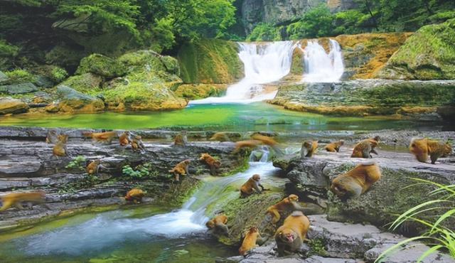 从“景点”到“全域”，绿水青山间——阳城全域旅游何以领跑全国