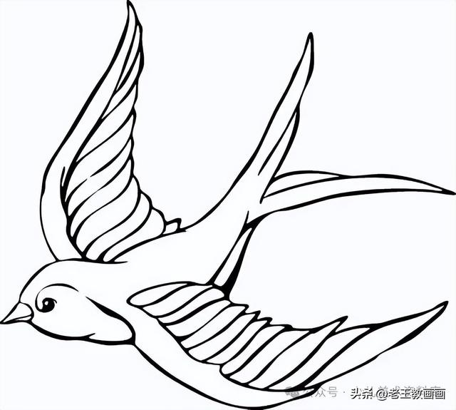 燕子的简笔画线稿图，给孩子收藏