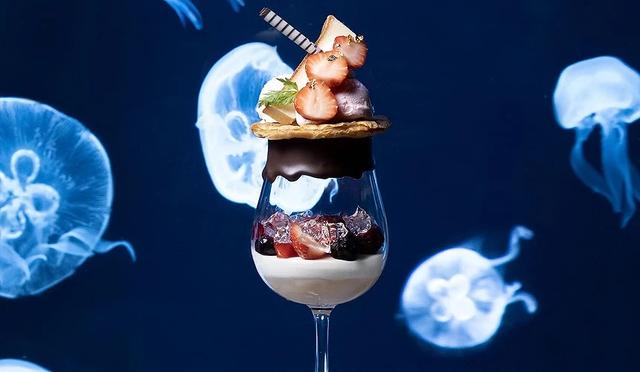 夜游札幌景点推荐「AOAO SAPPORO」水族馆:狸小路地下街直达