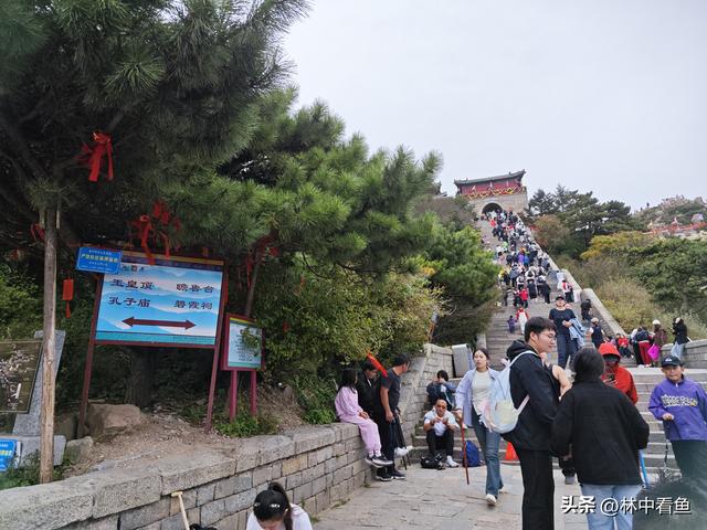 徒步登泰山之三——岱顶风光奇秀绝天下
