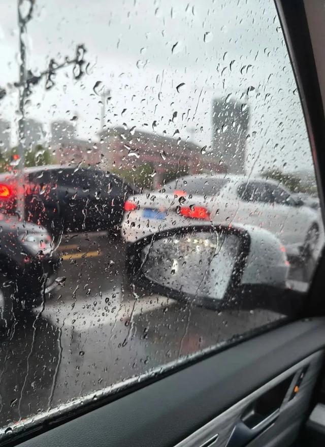 渭南文坛 | 王纪民：胡杨林之旅杂记