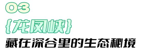 在射洪，你真的可以把日子过成诗~