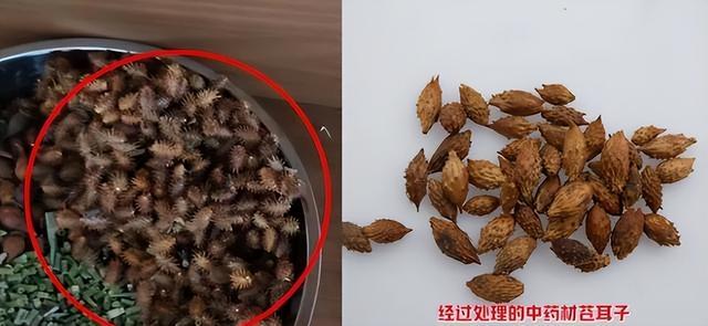 国家出手，人民日报点名封杀！坑惨老百姓的他，现今下场大快人心