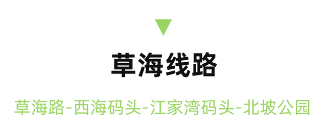 比六盘水冷！比贵阳香！新挖18℃小县城，草海湖泊美若仙境！碳水王国20元吃火锅！