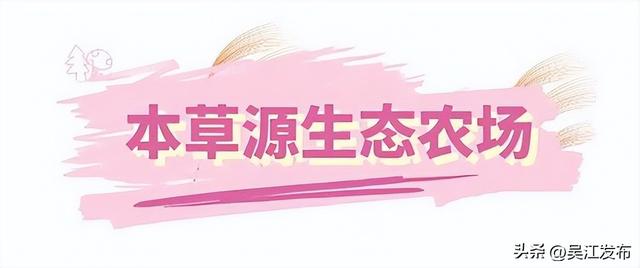 周末去打卡丨在吴江，赴一场粉色之约！