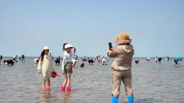 龙威赶海垂钓园：趣味不停歇 赶海乐趣正当时