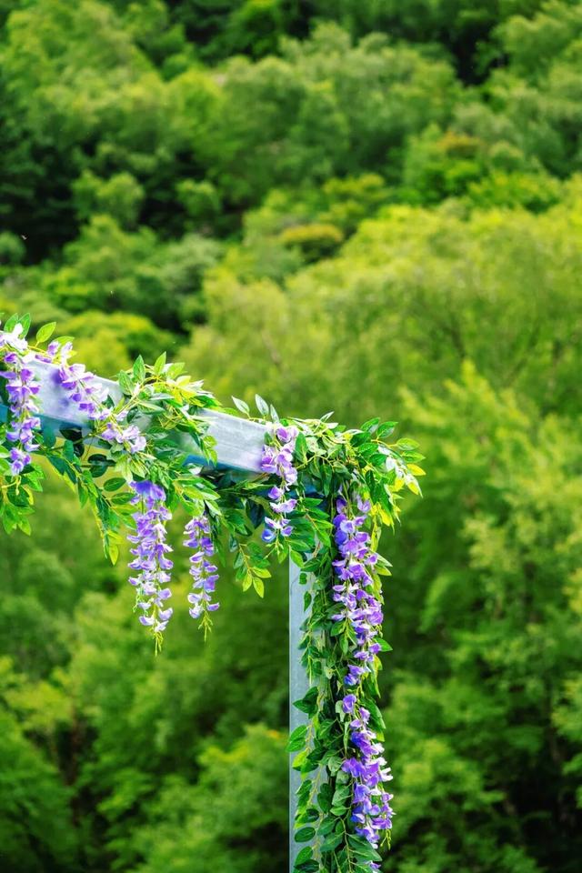 寻找你的“浪浪山”！周末就来松坪沟的绿野仙踪～