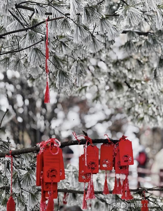 老君山今冬首场雪如期而至，幻化人间仙境