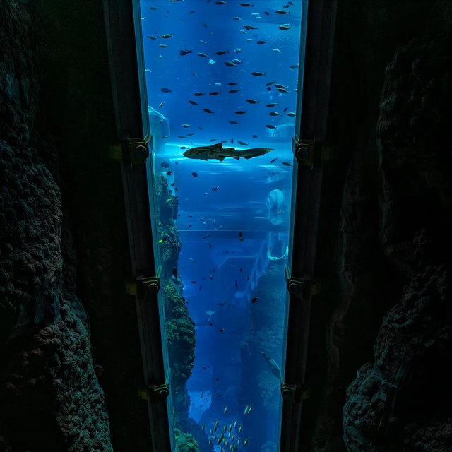 被刘亦菲带火的阿布扎比：不止是大片取景地，更藏着暴富密码