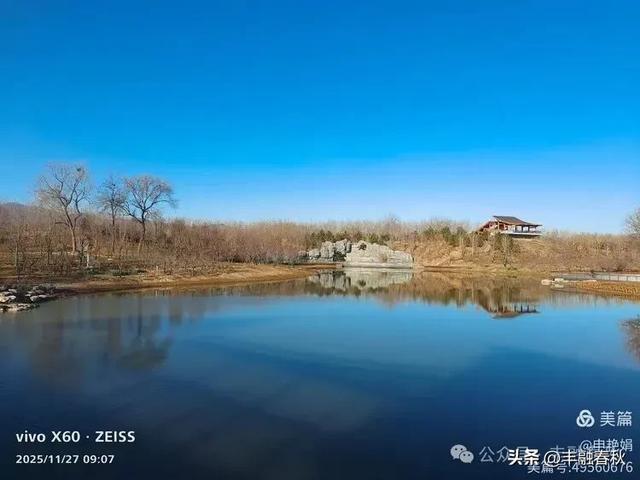 初冬北京玉河湿地公园游记|申艳娟