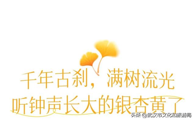 限时绝美！武汉街头颜值巅峰，地铁直达