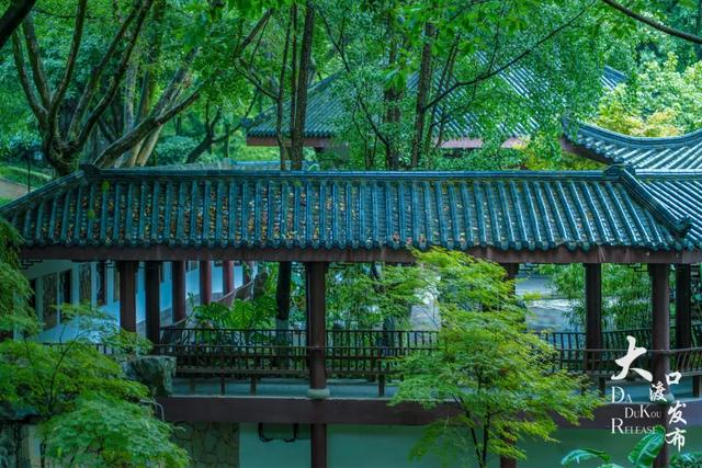 下雨天，大渡口这些地方美成「烟雨江南」，快去拍！