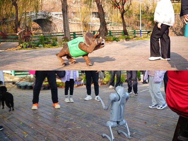 2026“马”年免费福利、吃临沂炒鸡送门票、年卡……千万别错过！