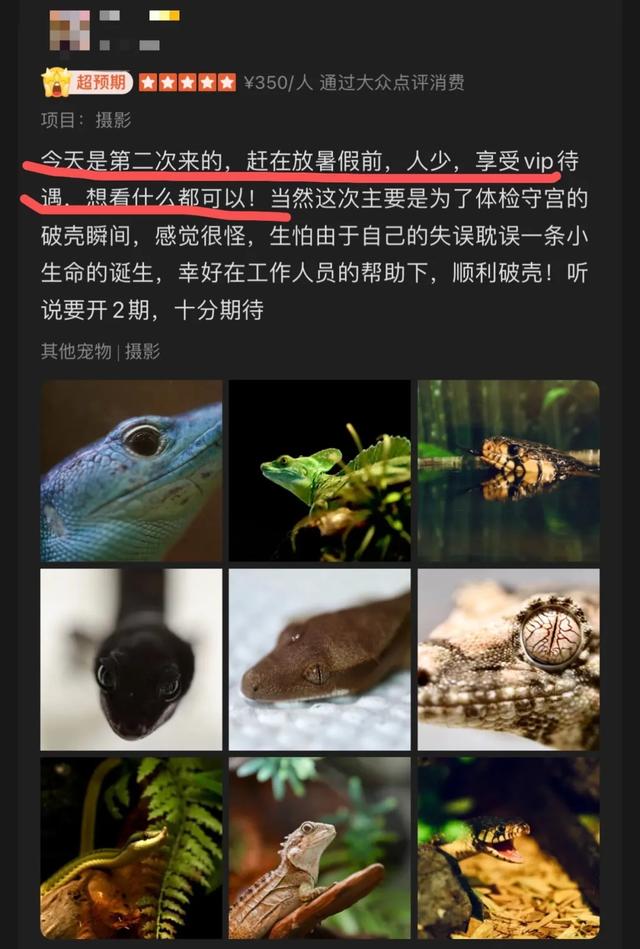 不想被调教了，终于有人教我怎么玩了？