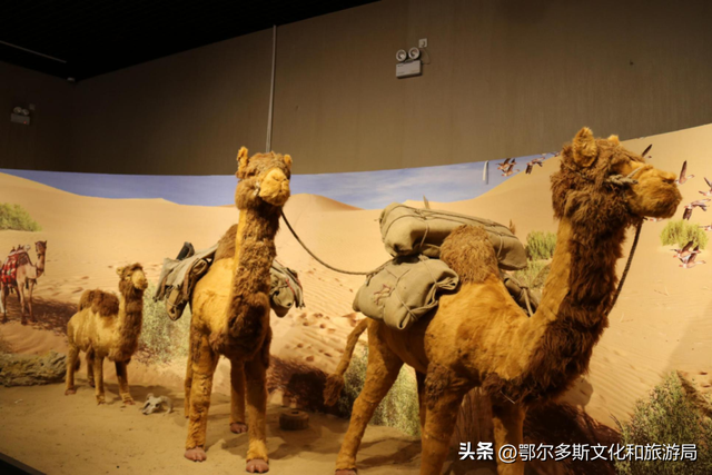 银发乐游线路：杭锦旗慢游深体验