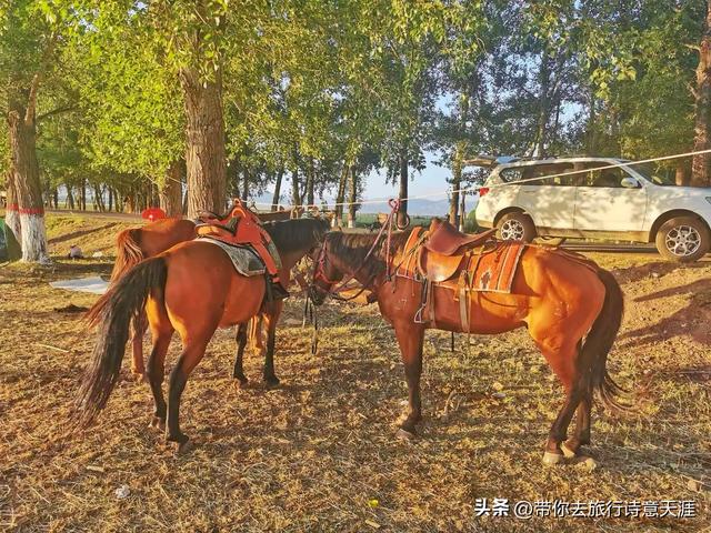 古丝绸之路上的夏塔古道风光