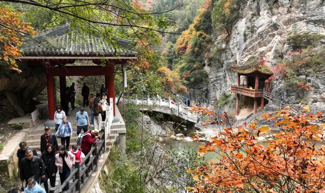 这才是秋天该有的样子~