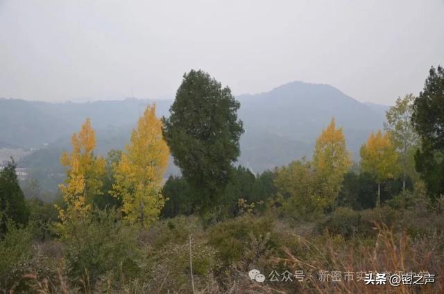 新密市实验高级中学举行重阳节登魏长城小顶山活动