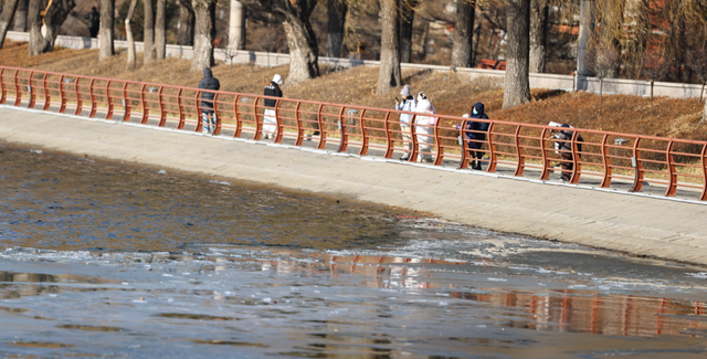 长春惊现“龙鳞”！