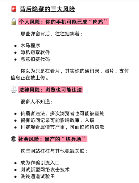 DeepSeek 剖析：国内黄色网站为啥封不完？背后藏着什么？