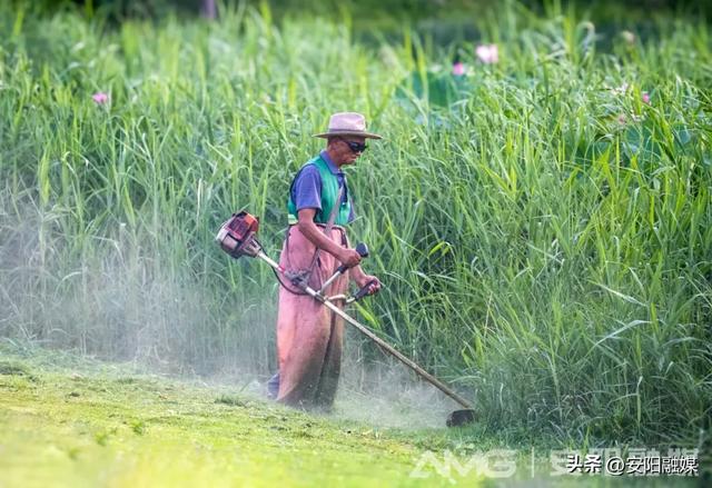 视觉安阳（2025年7月22日）