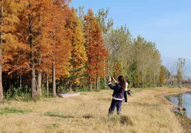 含“金”量还在上升！速冲→