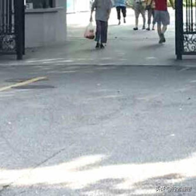 《行者随谈》17.