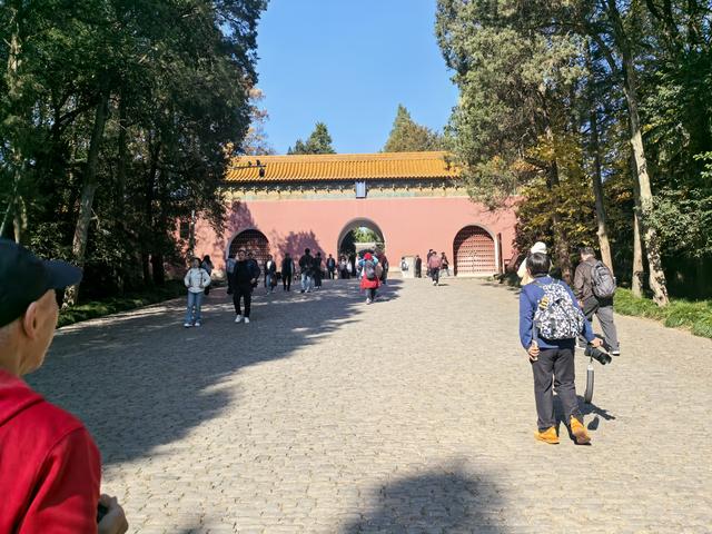 南京紫金山郊野徒步