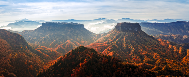 四川广元旺苍县初冬红叶如画 山色斑斓引客来