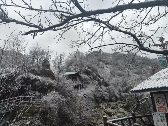 告别秋景，奔赴鸡峰山的第一场雪｜冬日旅行启动