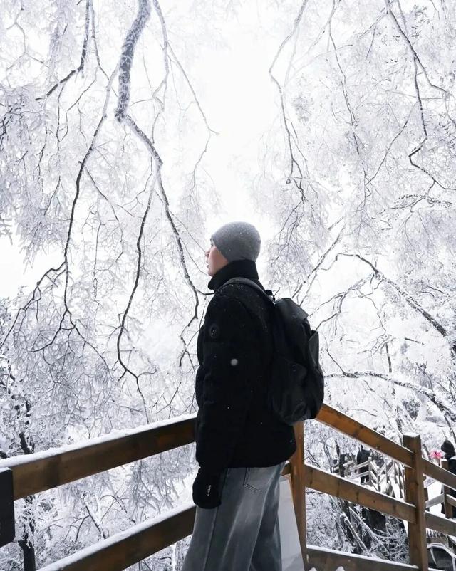 超多网红已打卡！本周末，冲进光雾山的冰雪童话世界